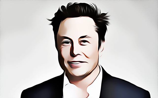 Co studiował Elon Musk?